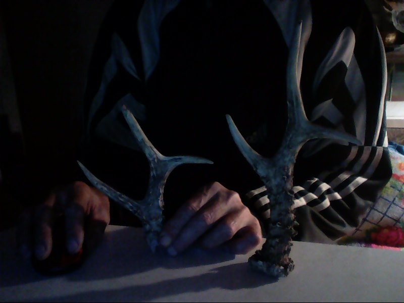 Snapshot_20150115_3.JPG