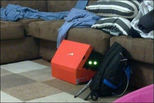 sneaky-kitties-34.jpg