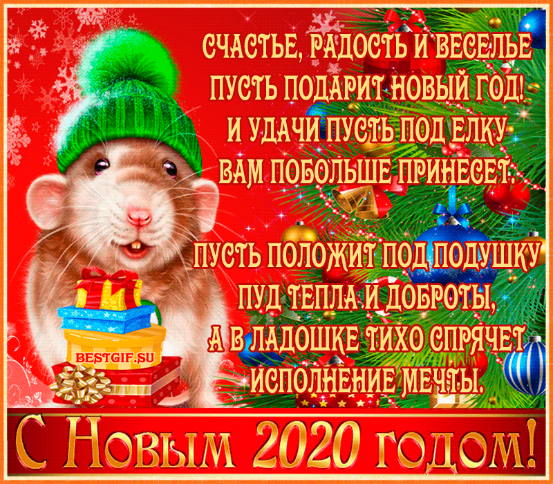 СНГ.2020.gif