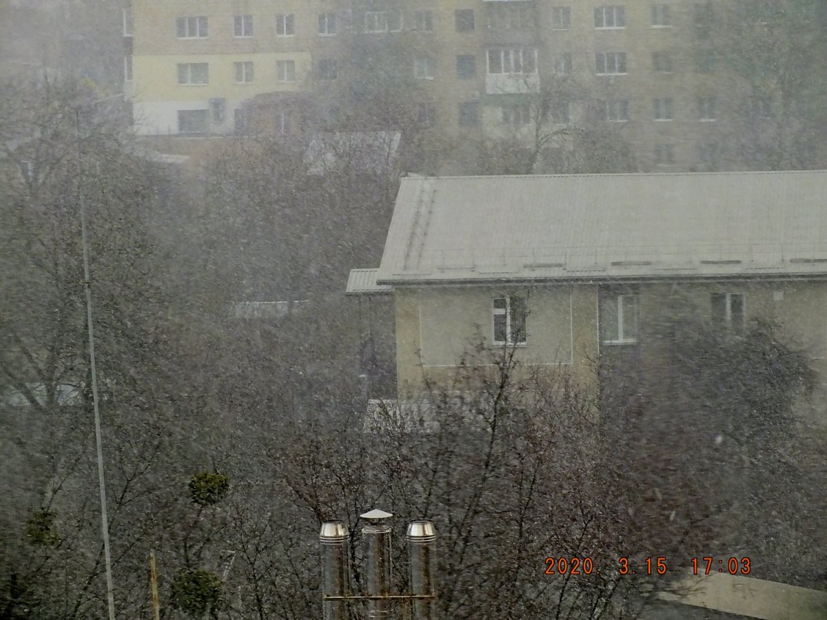 сніг.JPG