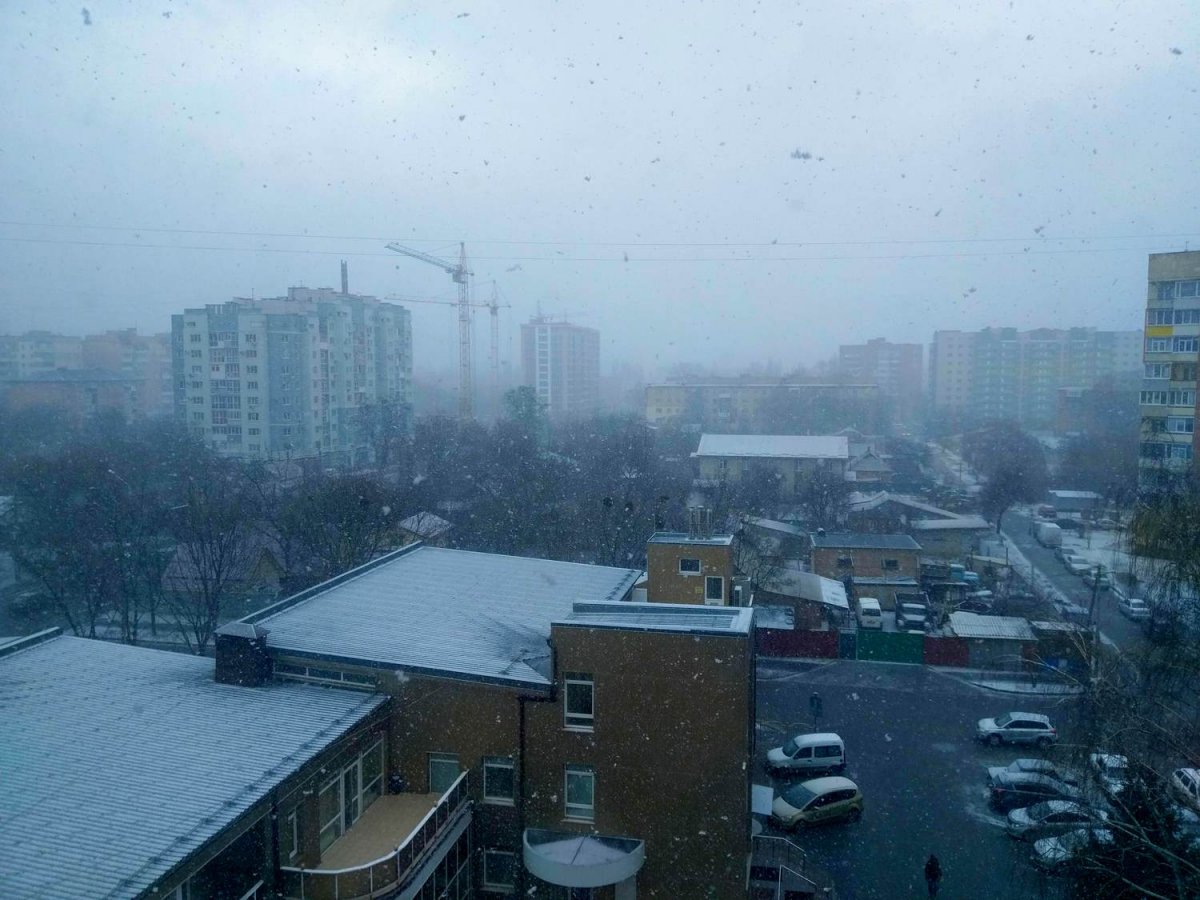 сніг.jpg