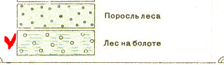 Снимок.PNG