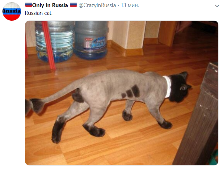 Снимок.PNG