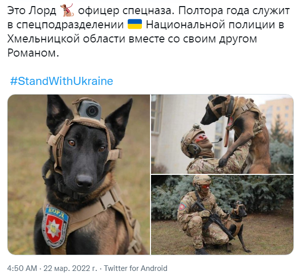 Снимок..PNG