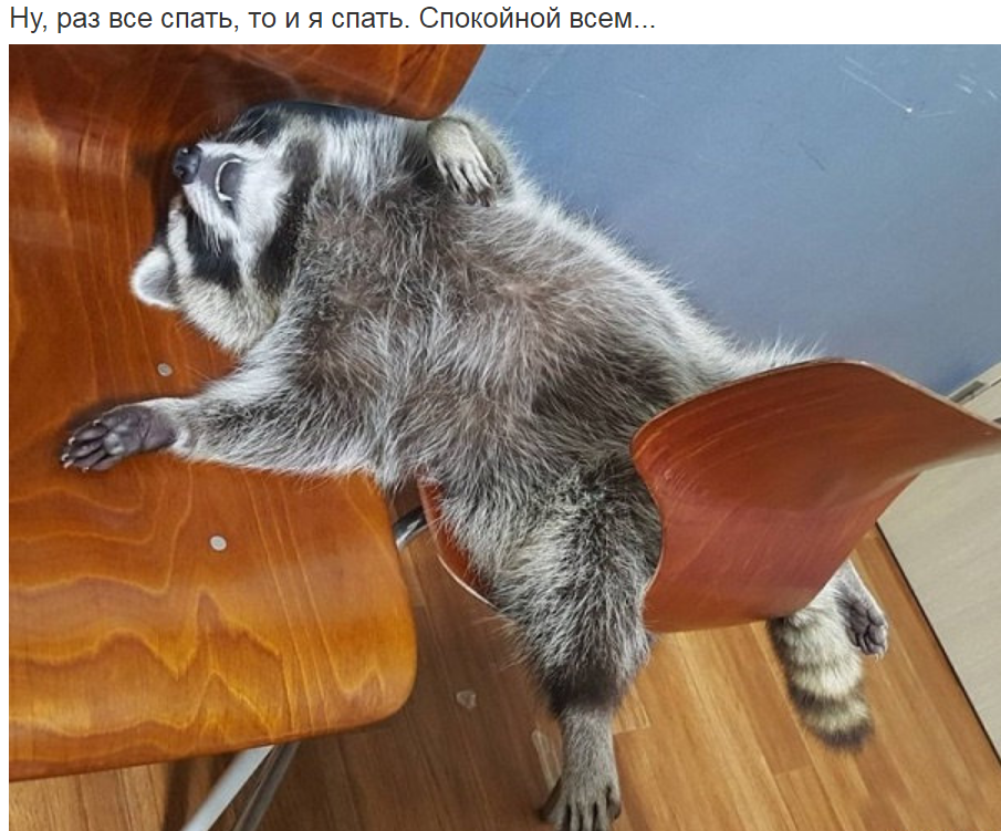 Снимокmj.PNG