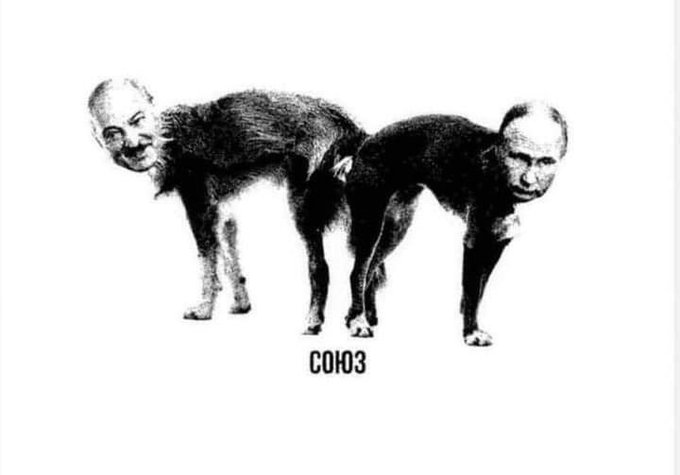сой.jpg