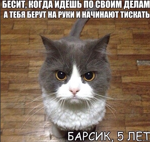 Сохраненное изображение 2016-6-19_18-50-41.330.jpg