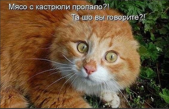 Сохраненное изображение 2016-6-19_18-53-53.993.jpg