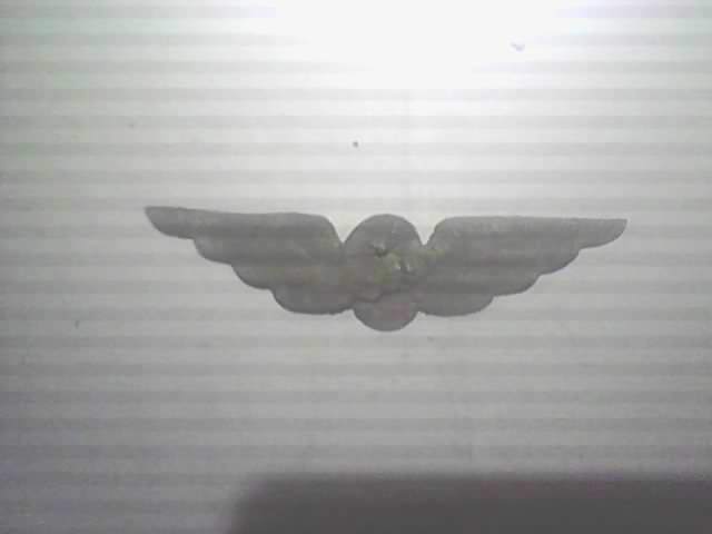 SP_A0080.jpg