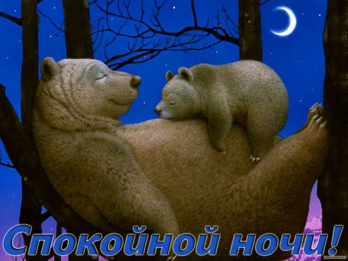 spokoinoynochi27.jpg