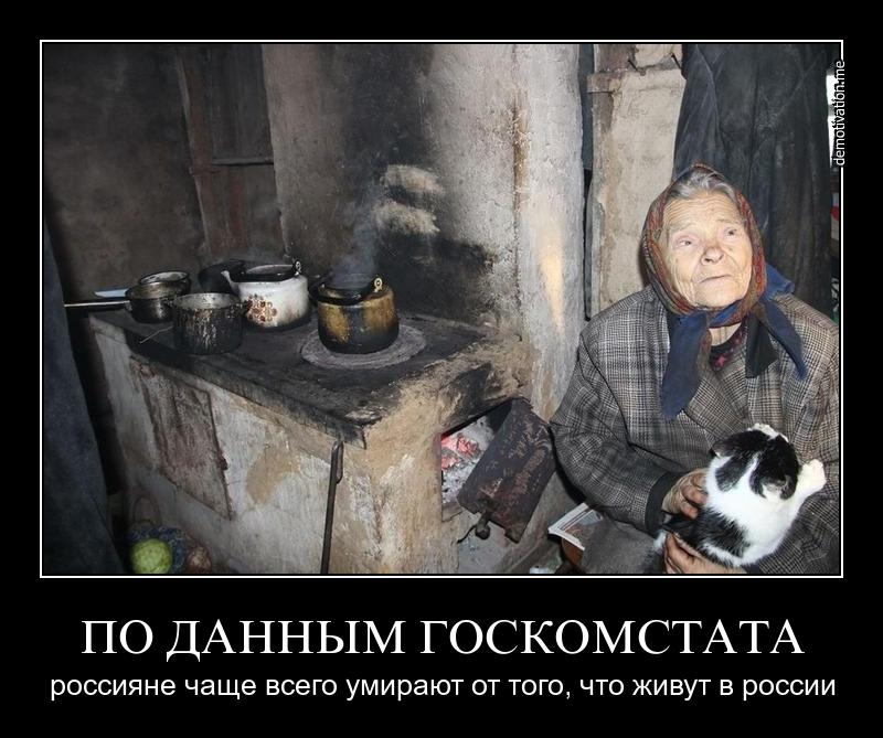 sqqgdk3rrl1f.jpg