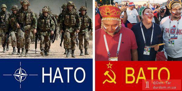 срав.jpg