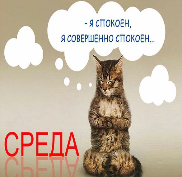 sreda-smeshnaya-kartinka.jpg