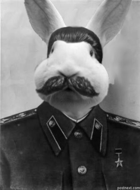 ста4.jpg