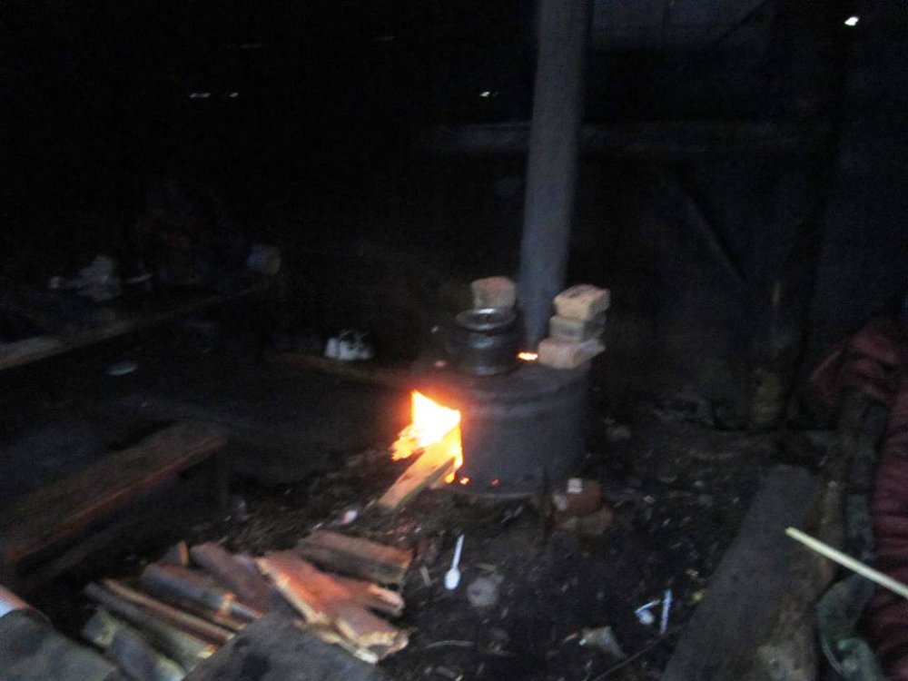 стайки2013 015.jpg
