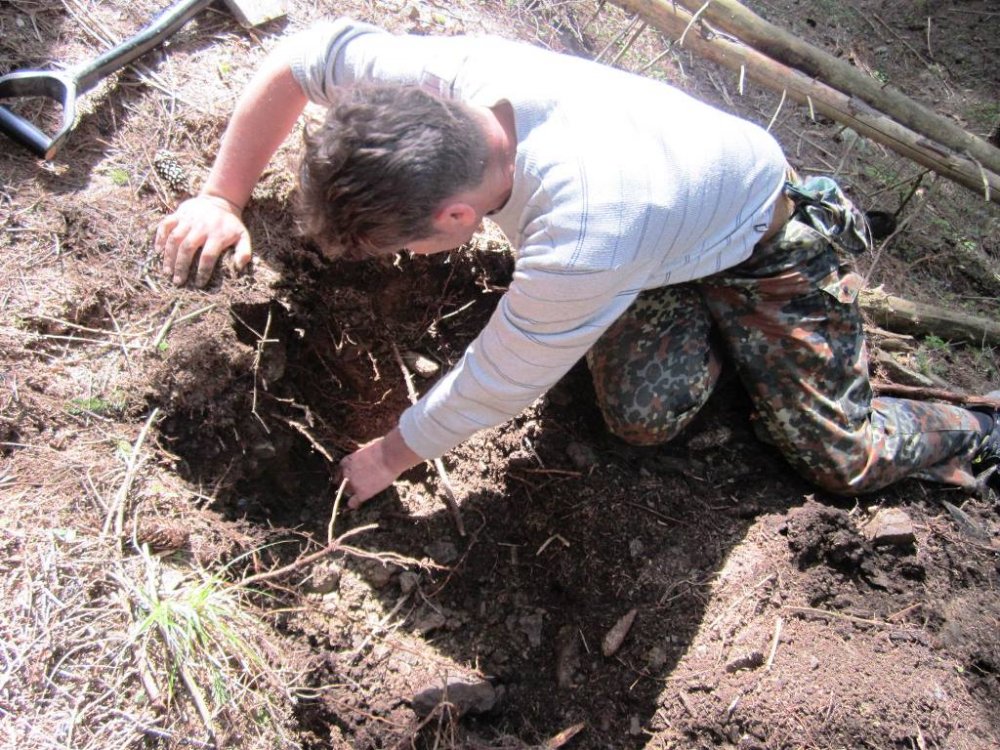 стайки2013 018.jpg