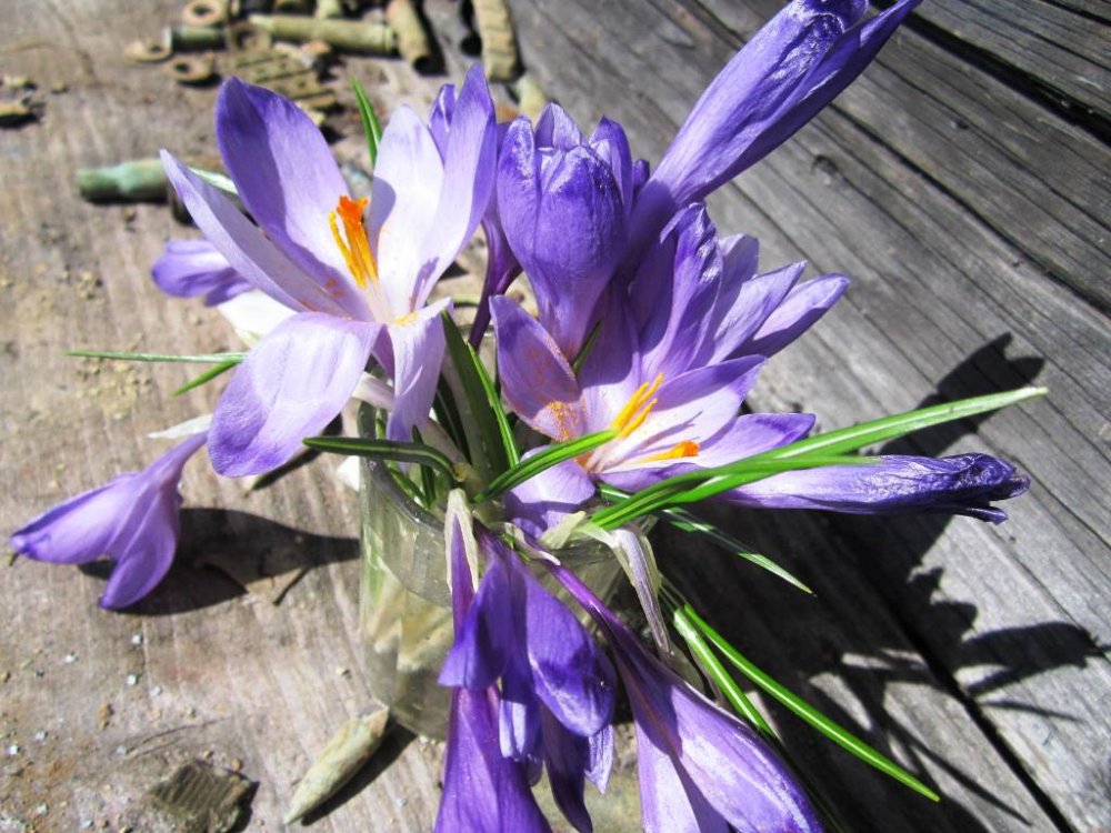 стайки2013 062.jpg