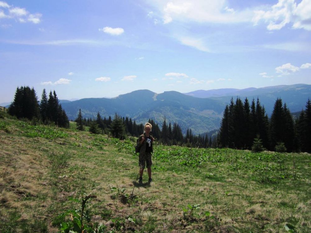 стайки2013 067.jpg