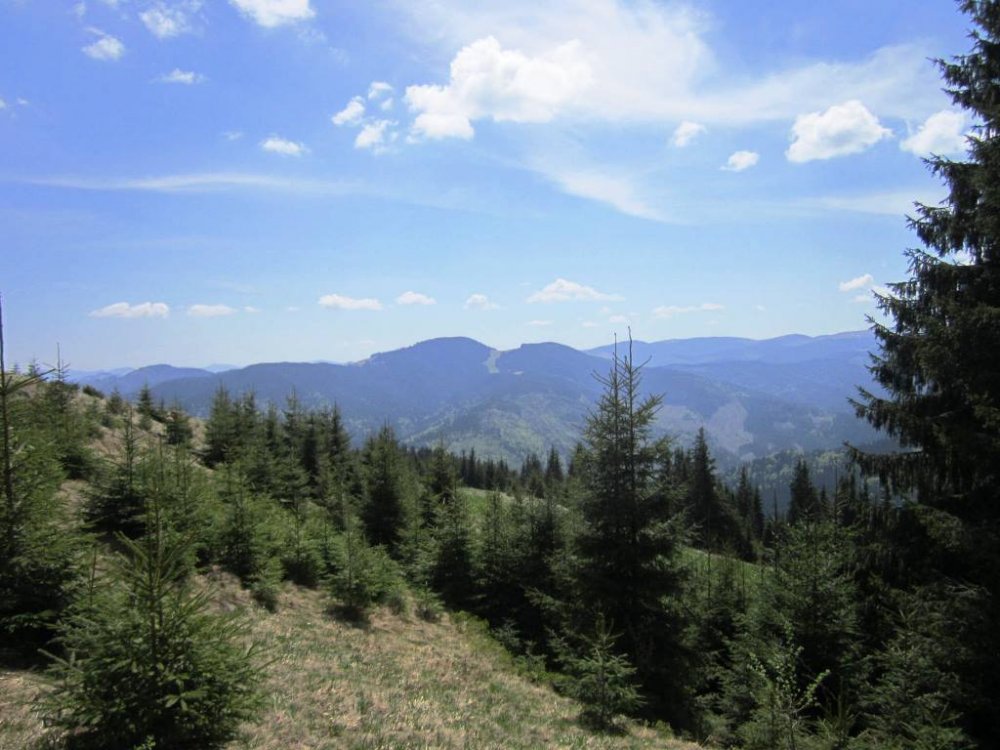 стайки2013 073.jpg