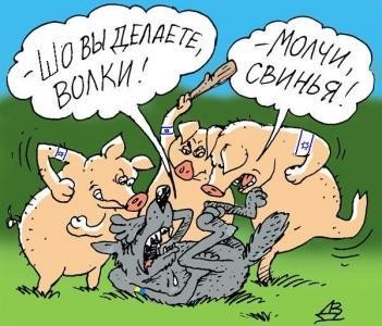 свиньи и волки.jpeg