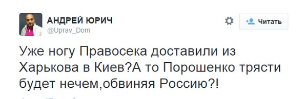 syka.jpg