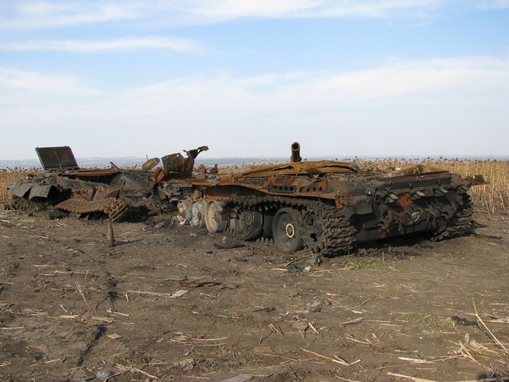 t1zrinvs2432.jpg