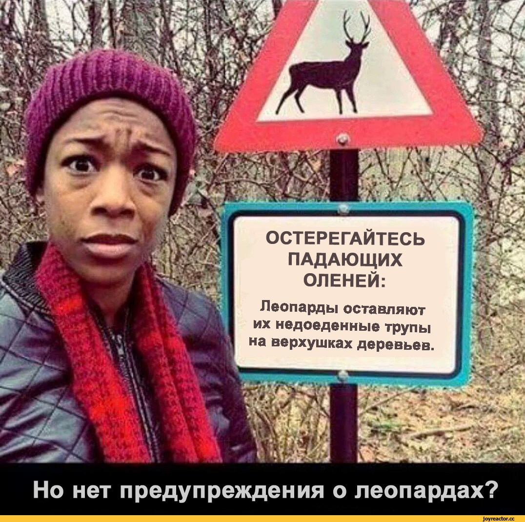 табличка-предупреждение-олени-перевод-3199149.png