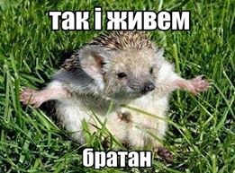 так-и-живем.jpg