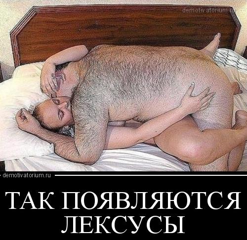 так появл лексусы.jpg