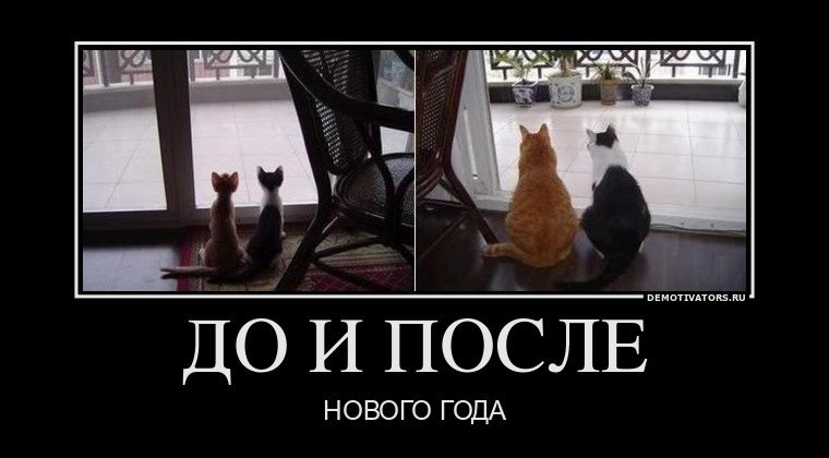 tapatalk_1483359805117.jpeg