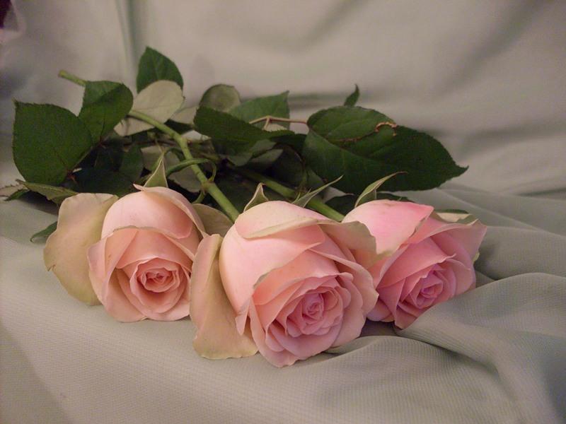 Тебе, Гердочка.jpg