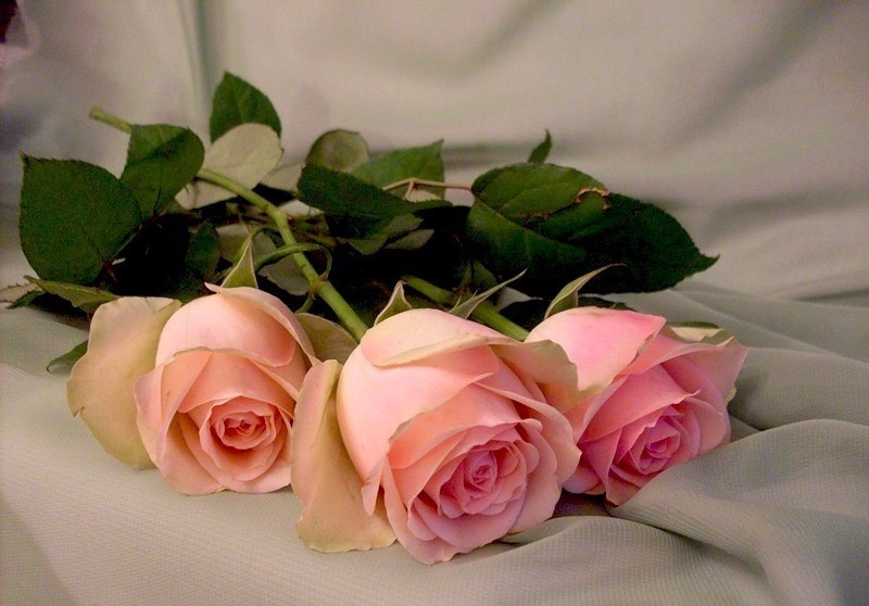 Тебе хххххх.jpg