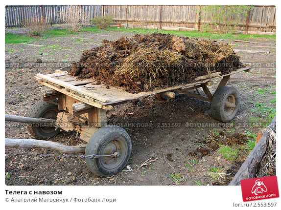 telega-s-navozom-0002553597-preview.jpg