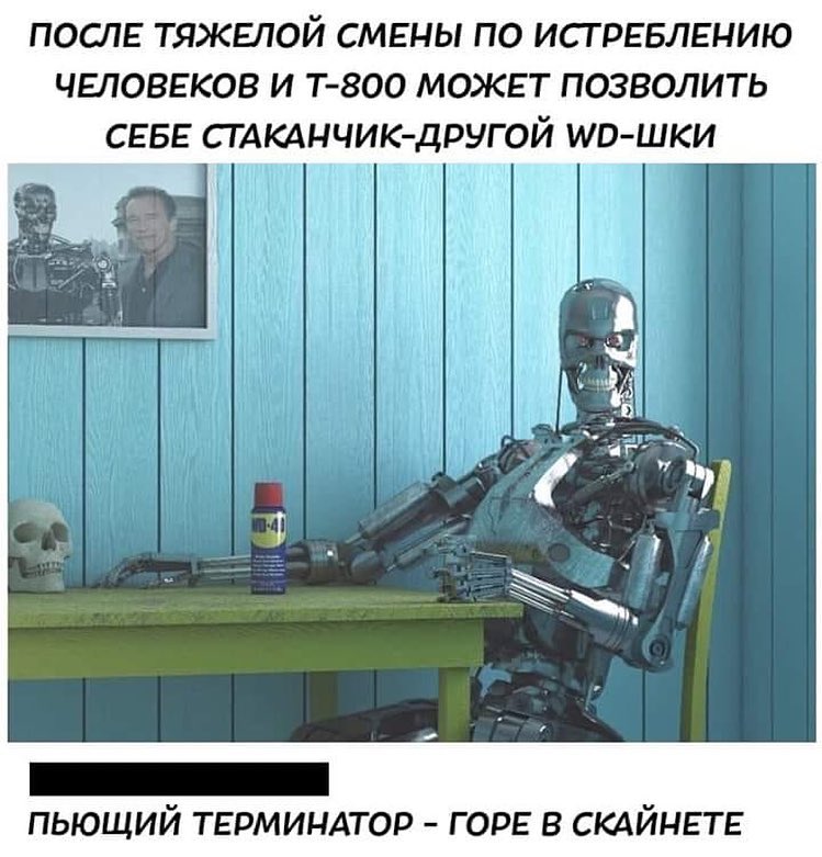 терминатор.jpg