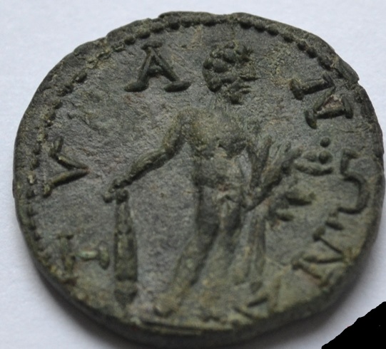 tetrassariy1.jpg