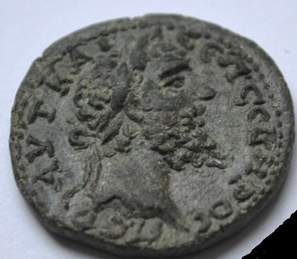 tetrassariy2.jpg