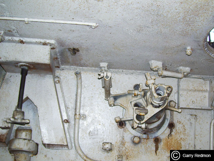 Tiger108.jpg
