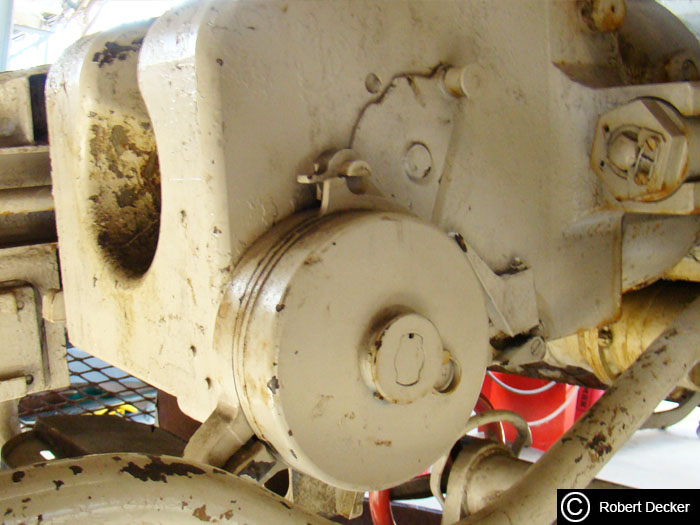 Tiger129.jpg
