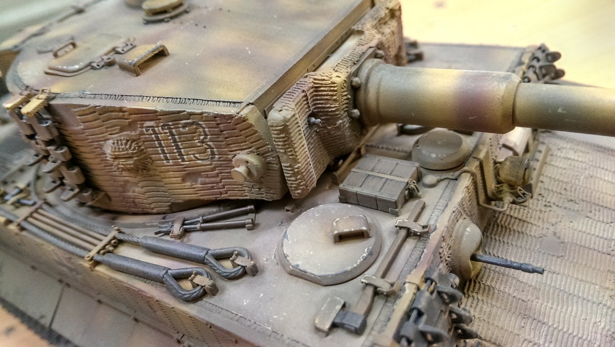 TIGR 5.jpg