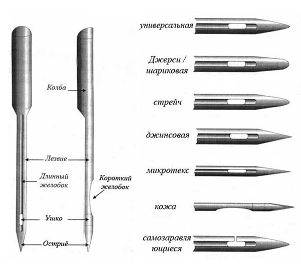 tip-igli.jpg