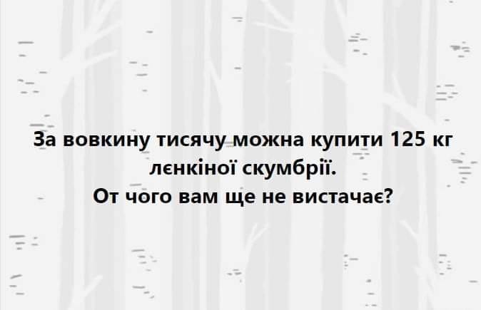тища скумбрія.jpg