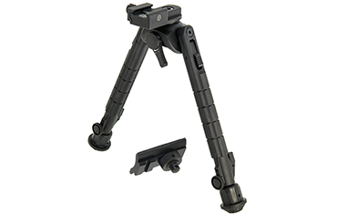 TL_BP03_A_PRO_1.jpg