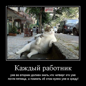 tmb_demotivatorium_ru_kajdij_rabotnik_64610.jpg