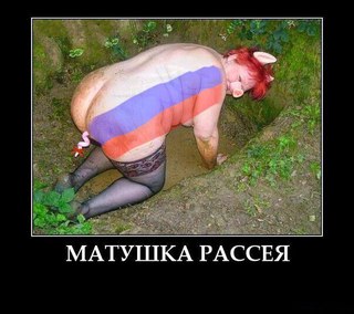 tmp_mydn71y4pdlprqnd.jpg