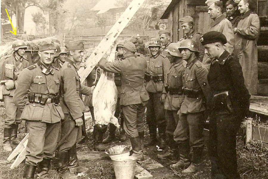 тран кру.jpg