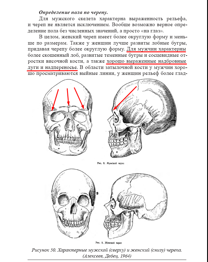 транспортир 8.png