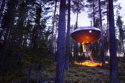 Treehotel1.jpg