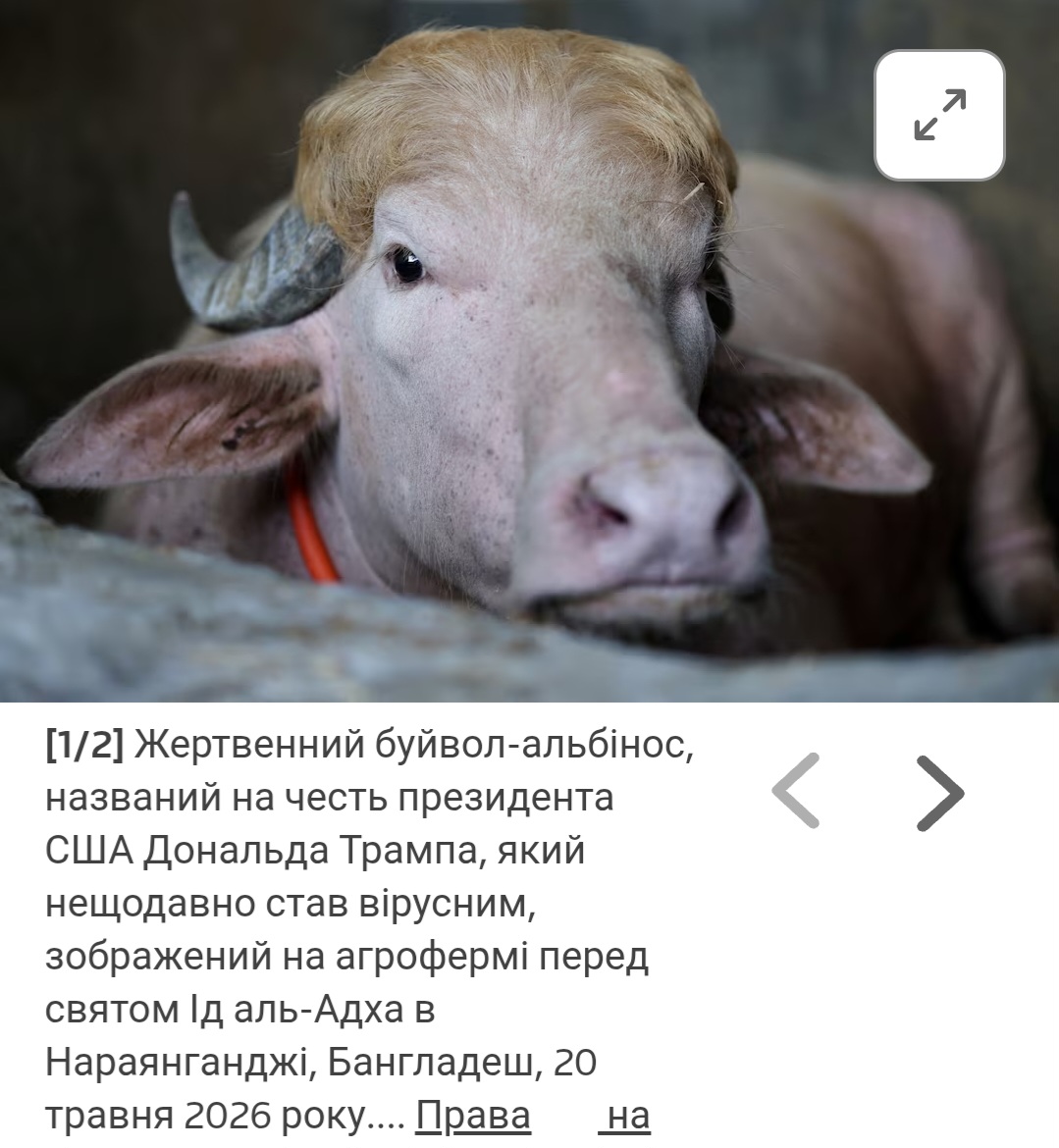 тт.jpg