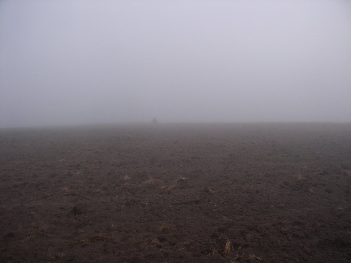 Туман2015 001.jpg