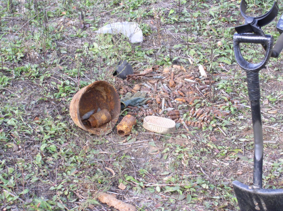 Туман2015 063.jpg